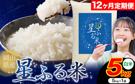 【12ヶ月定期便】白米 星ふる米 5kg ht