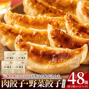 長期熟成にんにくの芳醇な旨味が決め手 肉餃子・野菜餃子詰合せ　48個入り （肉餃子・野菜餃子　各12個入×2パック）