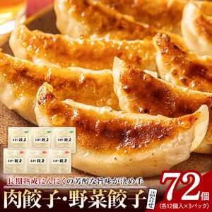長期熟成にんにくの芳醇な旨味が決め手 肉餃子・野菜餃子詰合せ　72個入り （肉餃子・野菜餃子　各12個入×3パック）