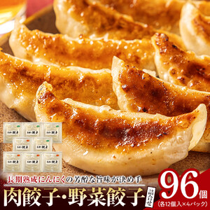 長期熟成にんにくの芳醇な旨味が決め手 肉餃子・野菜餃子詰合せ　96個入り （肉餃子・野菜餃子　各12個入×4パック）