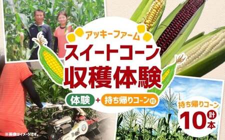 F4 アッキーファーム スイートコーン収穫体験 （スイートコーン10本込み） とうもろこし トウモロコシ 野菜 やさい 農作物 農業 体験 チケット 商品券 施設利用券 福岡県産 国産 福岡県 みやま市