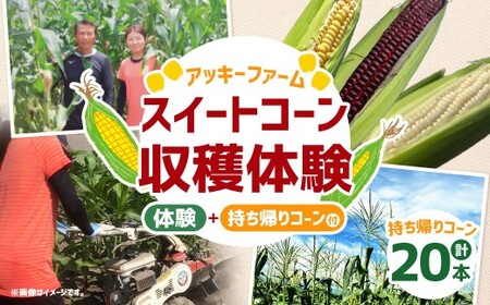 F5 アッキーファーム スイートコーン収穫体験 （スイートコーン20本込み） とうもろこし トウモロコシ 野菜 やさい 農作物 農業 体験 チケット 商品券 施設利用券 福岡県産 国産 福岡県 みやま市