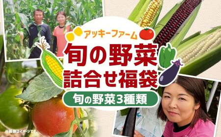 A322 アッキーファームの旬の野菜詰合せ福袋 （野菜3種） 詰め合わせ セット 季節 旬 お楽しみ 野菜 やさい なす トマト ミニトマト ピーマン ブロッコリー とうもろこし レタス カリフラワー 冷蔵 福岡県産 国産 福岡県 みやま市