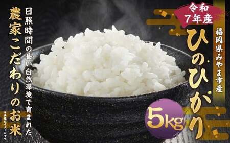 A325 【令和7年産】アッキーファームのお米「ひのひかり」 5kg 白米 ヒノヒカリ お米 こめ 精米 単一原料米 ごはん ご飯 福岡県産 国産 福岡県 みやま市 常温 【2025年11月上旬～2026年8月下旬まで順次発送予定】