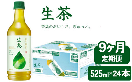 【9ヶ月定期便】 生茶 525ml×24本 [ お茶 ペットボトル 緑茶 キリン ]