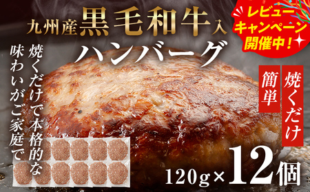 九州産黒毛和牛入ハンバーグ 牛肉 豚肉 120g×12個入 惣菜 【九州産黒毛和牛入ハンバーグプレゼント レビューキャンペーン開催中！】