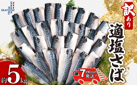 【 スピード配送 】 訳あり 適塩さば 5kg 鯖
