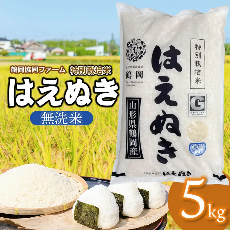 【令和7年産】 特別栽培米はえぬき　無洗米 5kg　(5kg×1袋)　山形県鶴岡産　鶴岡協同ファーム