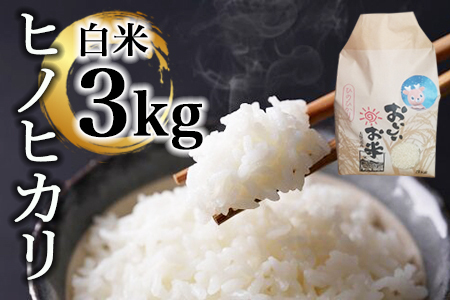 米 ヒノヒカリ3㎏(令和7年産)　白米【12-140】