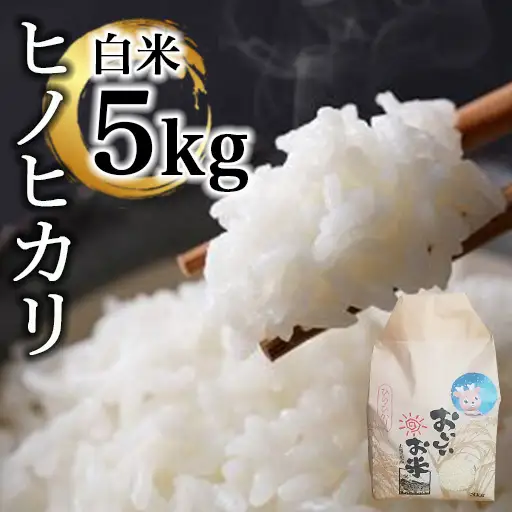 米 ヒノヒカリ 5㎏(令和7年産)　白米【18-047】