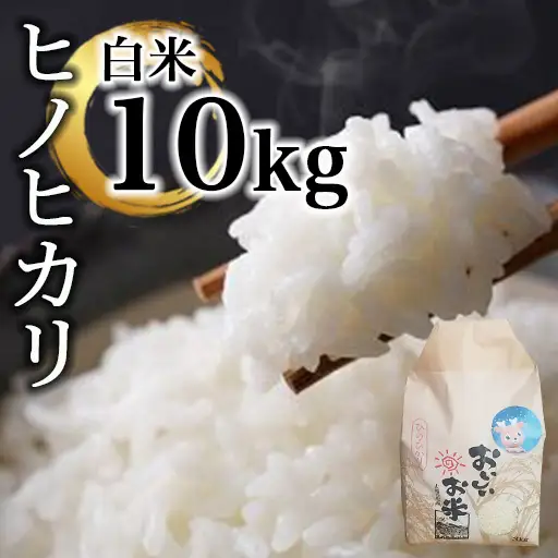 米 ヒノヒカリ10㎏(令和7年産) 白米【36-004】
