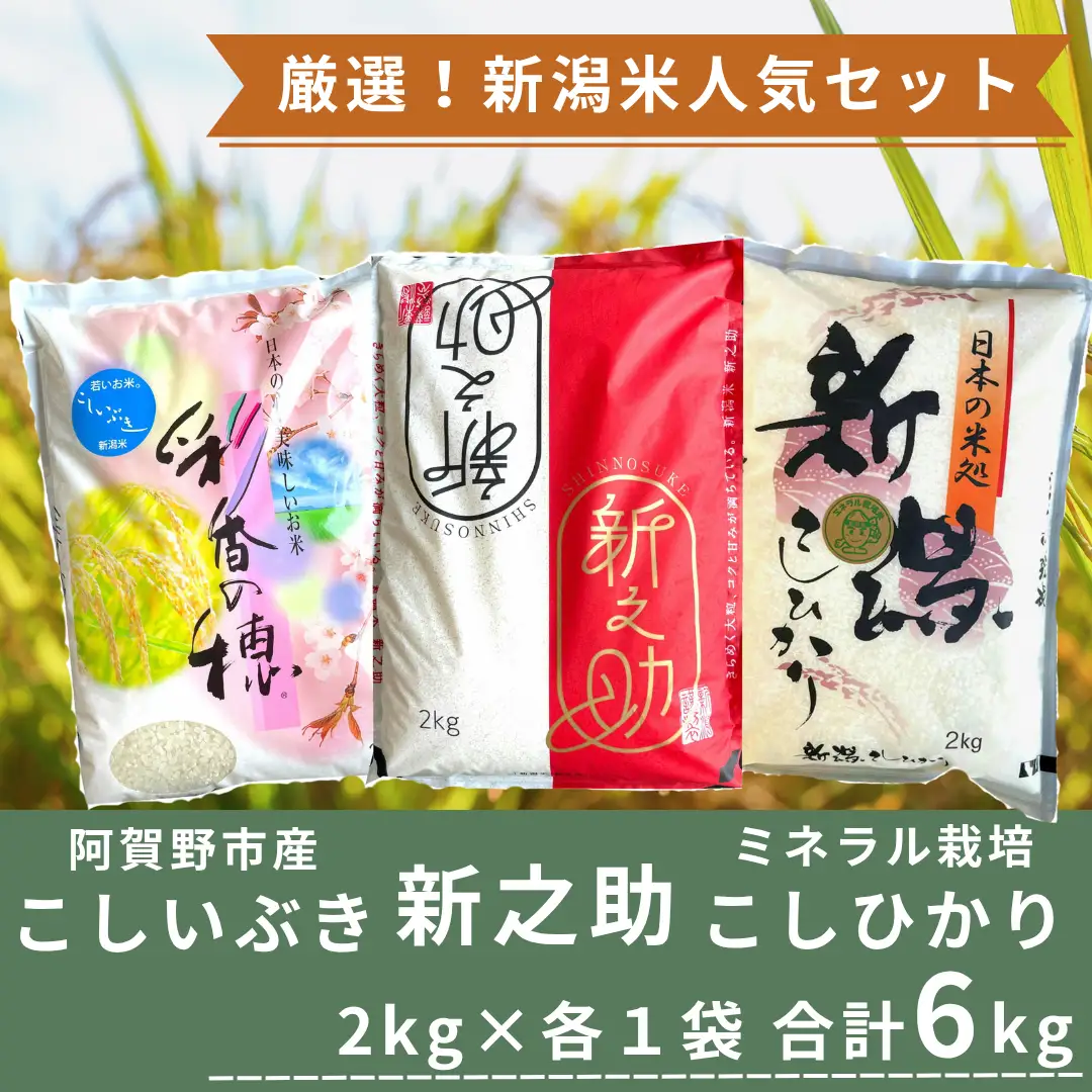 【令和7年産】新潟人気米セット 6kg (2kg×3種) ミネラル栽培コシヒカリ 新之助 こしいぶき 精米 白米 井上米穀店  新潟県 米 こめ コメ  1I27020