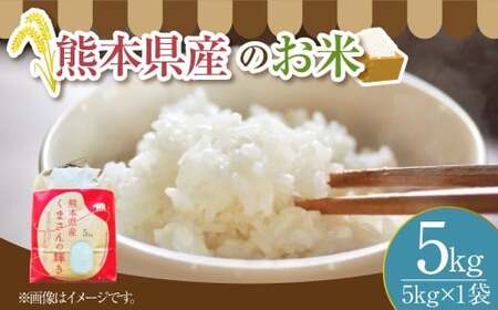 【令和7年度産】 熊本県産のお米5kg くまさんの輝き 精米 単一原料米 お米 米  【2025年11月上旬発送開始】