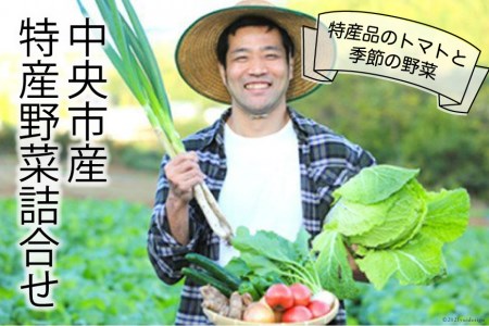 中央市産 特産 野菜詰合せ トマトと季節の野菜詰め合わせ  [た・から 山梨県 中央市 21470011] 野菜 やさい 詰合せ 詰め合わせ とまと トマト ミニトマト きゅうり 玉ねぎ たまねぎ 芋 いも 野菜セット 旬