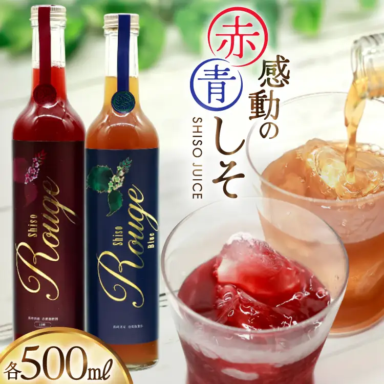 AJ307 感動の赤しそジュース 瓶 500ml 感動の青しそジュース 瓶 500ml [ しそジュース 紫蘇ジュース 赤しそ 青しそ 長崎県 島原市 ]