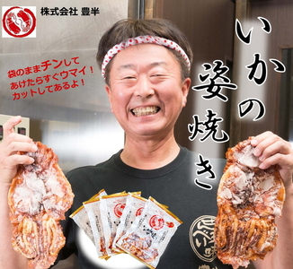 いかの姿焼き (100g×3袋) ｜イカ 烏賊 おつまみ 個包装 いか焼き おやつ 愛知県 美浜町 おすすめ ※北海道・沖縄・離島への配送不可