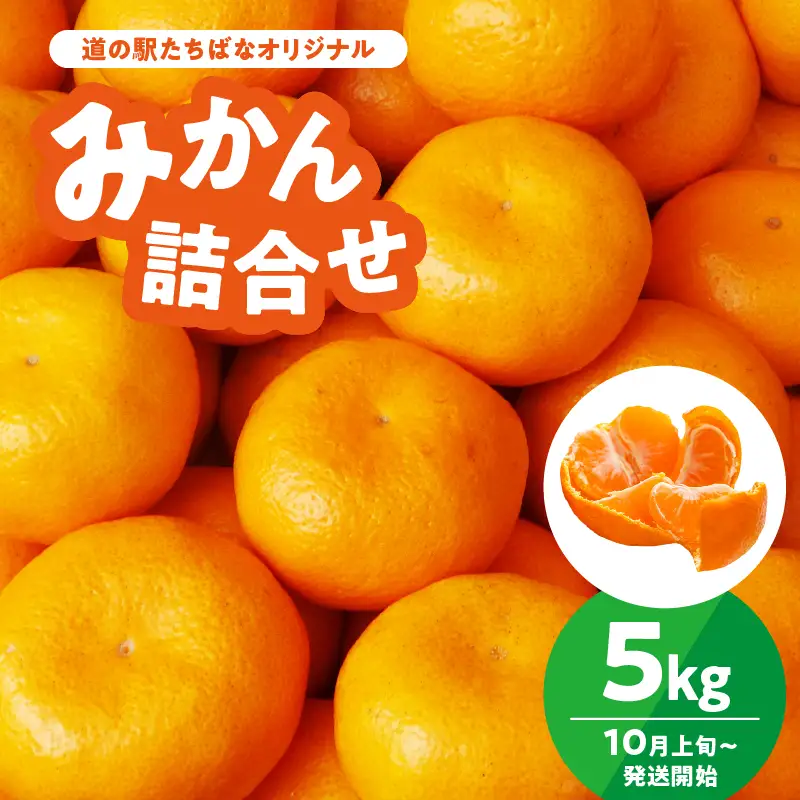 ＜道の駅たちばなオリジナル＞みかん5kg詰合せ（2026年10月上旬より発送開始） みかん ミカン オレンジ くだもの 果物 フルーツ デザート 極早生 早生 甘い 福岡県 八女市 054-015