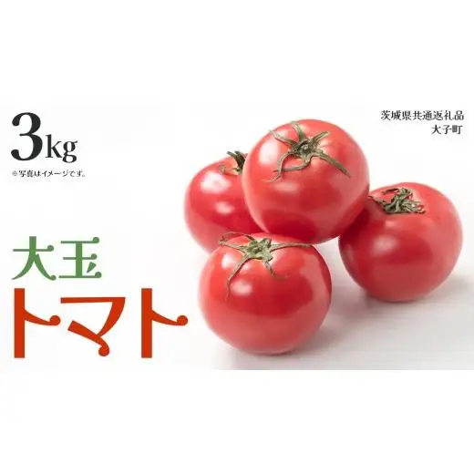 大玉 トマト 3kg (茨城県共通返礼品：大子町)