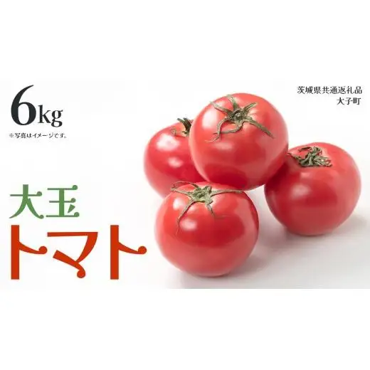 大玉 トマト 6kg (茨城県共通返礼品：大子町)