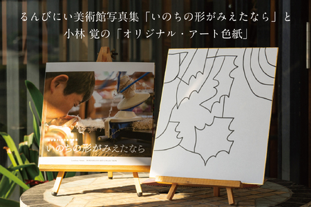 るんびにい美術館写真集「いのちの形がみえたなら」小林覚の「オリジナル・アート色紙」【2310】