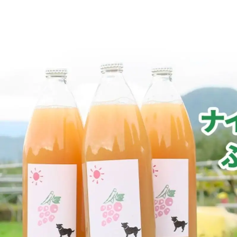 ナイアガラぶどうジュース1L×3本セット フルーツ 長野県