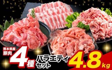 豚肉 ひごのポーク バラエティセット 4.8kg《7-14日以内に出荷予定(土日祝除く)》 豚肉