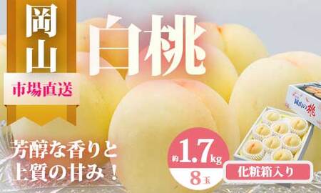 Do-1【令和8年発送・先行予約】岡山県産　白桃8玉（合計1.7kg以上）　化粧箱入り