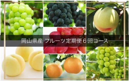 KK-6【令和8年発送・先行予約】岡山県産　晴れの国岡山フルーツ7月8月9月10月11月12月定期便6回　化粧箱入りA