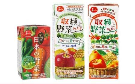 お野菜日和！ 毎日野菜セット 計20本 （ぎゅっと日本の野菜 125ml × 8本 ／ 収穫野菜PLUS 16種類の果実と野菜 200ml × 6本 ／ 収穫野菜PLUS フルーツと青野菜 200ml × 6本） ／ 野菜飲料 野菜ジュース 野菜 フルーツ ジュース 機能性表示食品 食物繊維 JA熊本果実連 国産野菜 紙パック 飲料類 3種 セット 熊本県 熊本市 常温 
