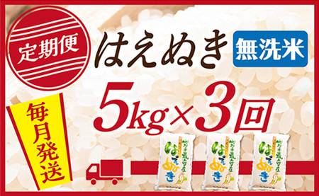 【定期便】【無洗米】 令和7年産 山形県産 はえぬき 5kg (5kg×1)  3回配送
