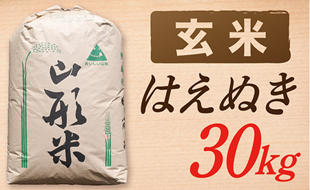 【令和7年産】【玄米】山形県産 はえぬき 30kg