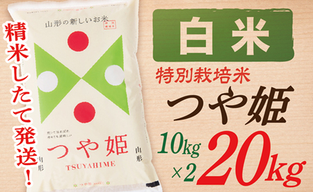 【令和7年産】【白米】山形県産つや姫20kg(10kg×2袋)