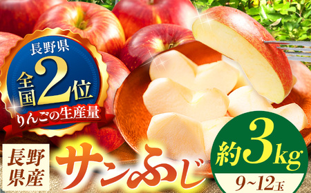 【先行受付】信州産　サンふじ約3kg (8～12玉) 