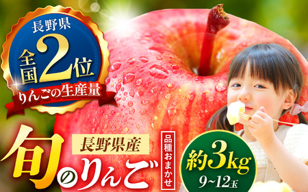【先行受付】信州産りんご【品種おまかせ】約3kg (8～12玉)　【秋映・シナノスイート・シナノゴールド・名月・サンふじ・グラニースミス・あいかの香り】