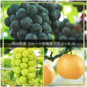 vv-109【令和8年発送・先行予約】フルーツ定期便　全3回コースA