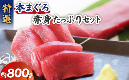 特選 本まぐろ 赤身 たっぷり セット M006-012 冷凍 マグロ