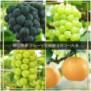 vv-110【令和8年発送・先行予約】フルーツ定期便　全3回コースB