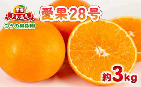 愛果28号 約3kg こうの果樹園 愛果28号 B010-182004