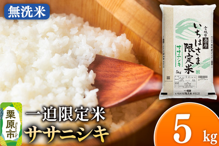 【無洗米】令和7年産 一迫限定米  ササニシキ 5kg