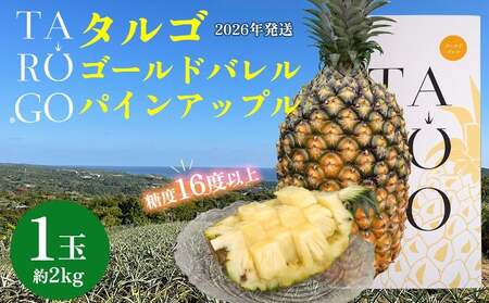 パイナップル ゴールドバレル TARUGO 約2kg（1玉）白箱 贈答用