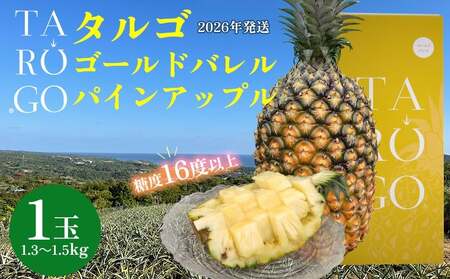 パイナップル ゴールドバレル TARUGO 約1.3～1.5kg（1玉） 黄箱 贈答用