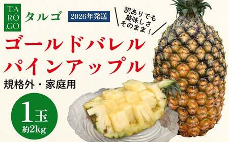 東物産「TARUGO」約2kg（1玉）／家庭用