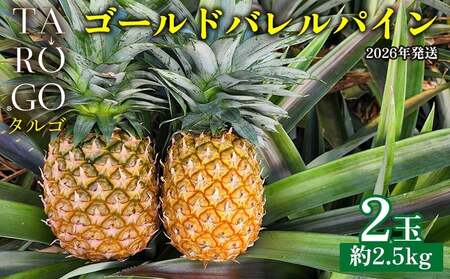 パイナップル ゴールドバレル TARUGO 約2.5kg（2玉）