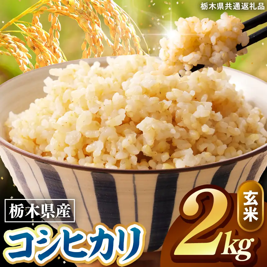 令和8年度産 先行予約 こしひかり 玄米 約2kg