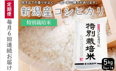 特別栽培米新潟産コシヒカリ5kg　毎月6回連続でお届けします。g 米 お米 こめ コメ ごはん 新潟 白米 コシヒカリ ブランド米 銘柄米 お取り寄せ 産地直送