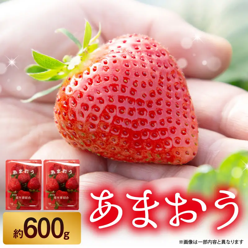 苺（あまおう）2パック入り ＜配送不可：北海道・沖縄・離島＞ いちご 苺 イチゴ 旬 あまおう ブランド くだもの 福岡県 八女市 197-001