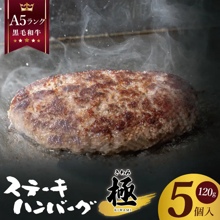 黒毛和牛　A5ランク　ステーキハンバーグ 極 120ｇ×5食入【埼玉県　春日部　国産　惣菜 冷凍　湯煎　レンジ調理　レンチン】（DH001）