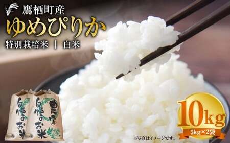 【令和7年産】 ゆめぴりか （白米） 5kg×2袋 北海道 鷹栖町 たかすタロファーム 米 コメ こめ ご飯 白米 お米 ゆめぴりか コメ 白米 