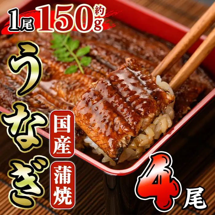 国産 うなぎ 蒲焼 (約150g×4尾) 鰻 タレ かば焼き うな重 うな丼 ひつまぶし 小分け 真空包装 真空パック 【AW-94】【丸正水産】