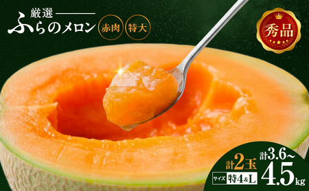 【令和8年産】ふらの 赤肉メロン 特4 2kg～2.6kg Lサイズ 1.6kg～1.9kg 各1玉(計2玉) 厳選 秀品 特4サイズ セット めろん フルーツ デザート くだもの 旬の果物 旬のフルーツ ファーム富良野 北海道